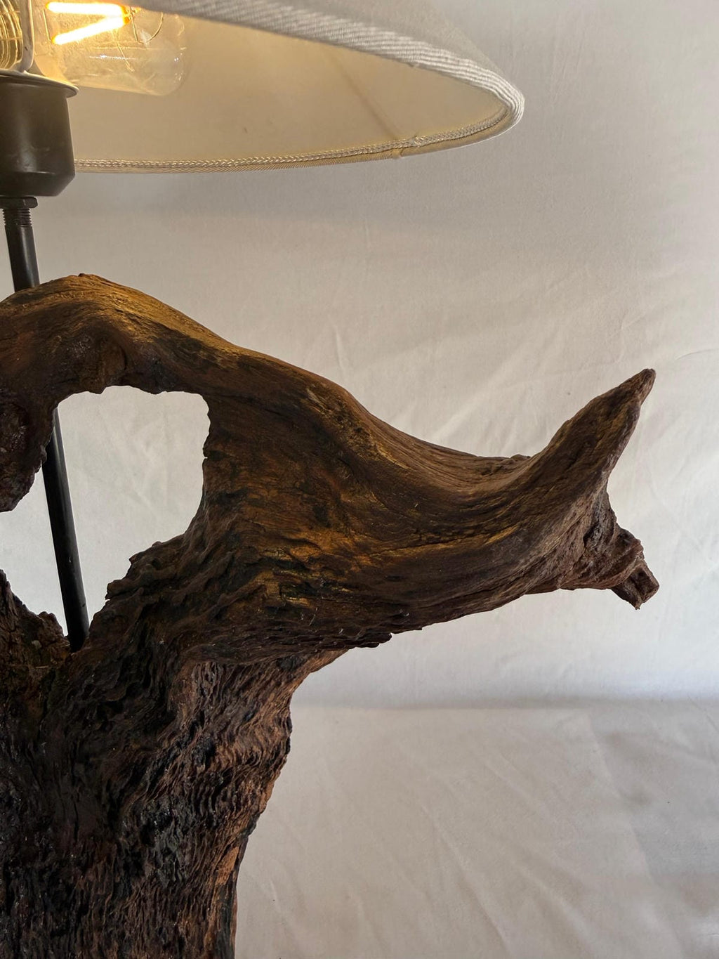 The Earthen Arch Sculptural Driftwood Lamp - Ghaaroon