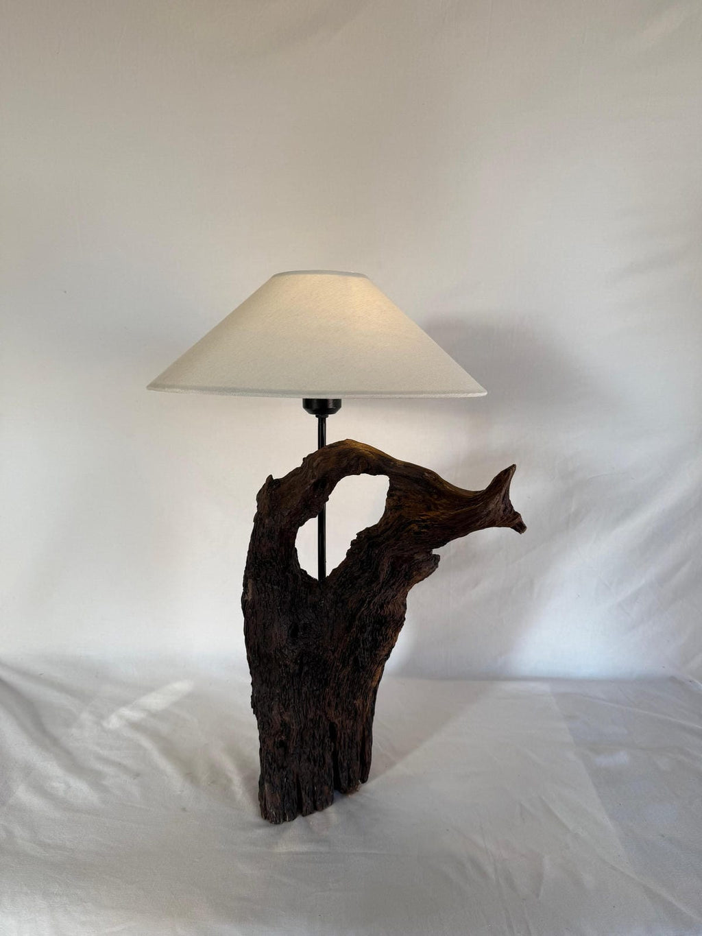 The Earthen Arch Sculptural Driftwood Lamp - Ghaaroon