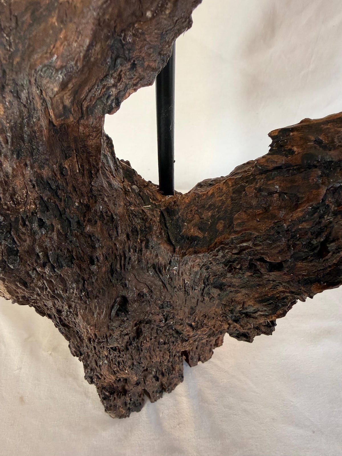 The Earthen Arch Sculptural Driftwood Lamp - Ghaaroon