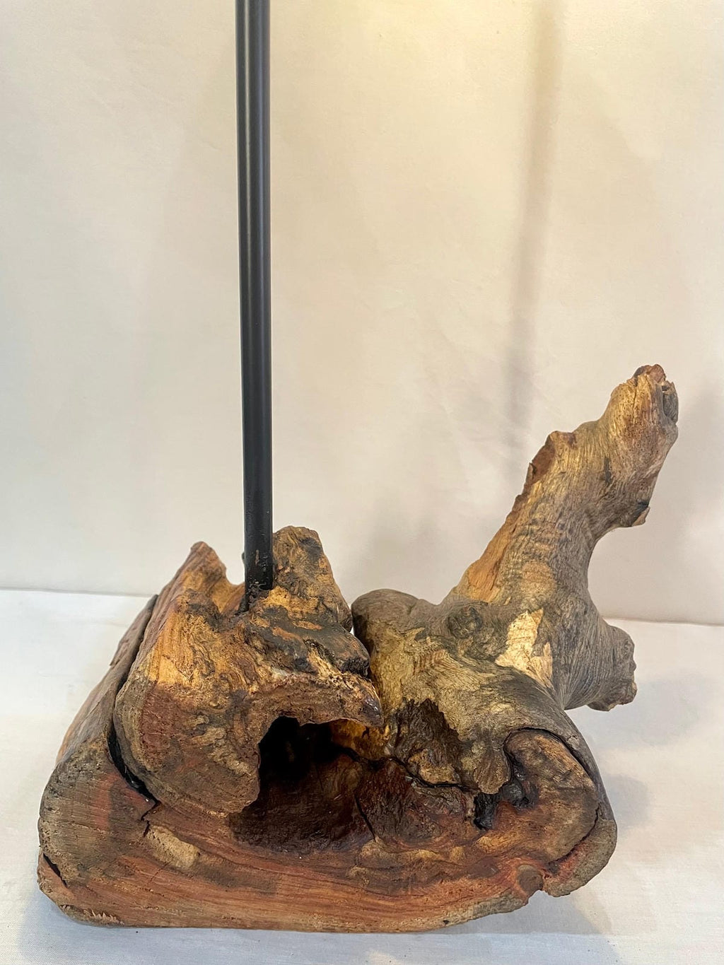 The Fossilized Crown - Ghaaroon