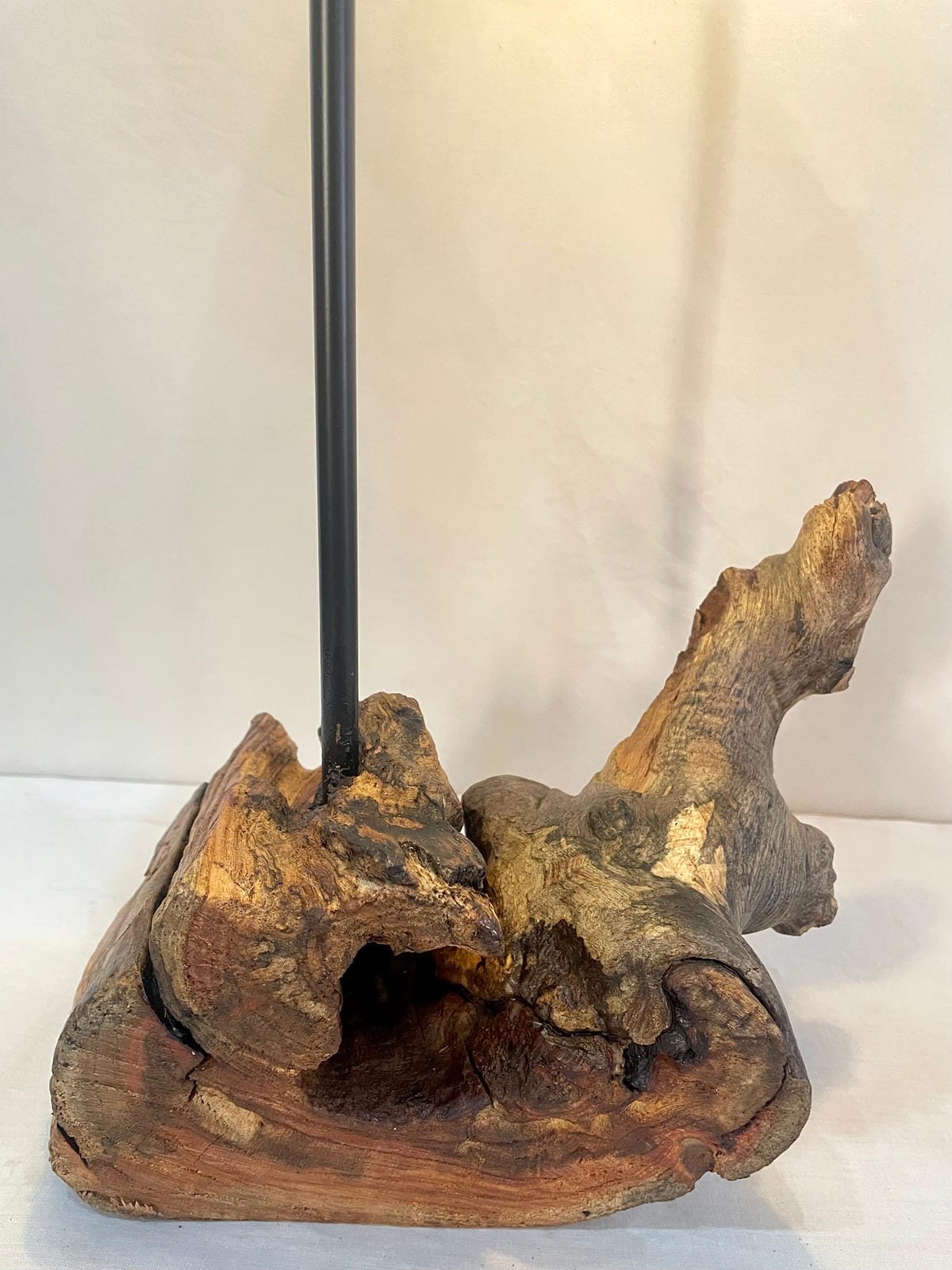 The Fossilized Crown - Ghaaroon