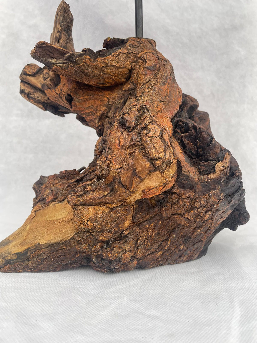 The Timber Lite Drfitwood Lamp