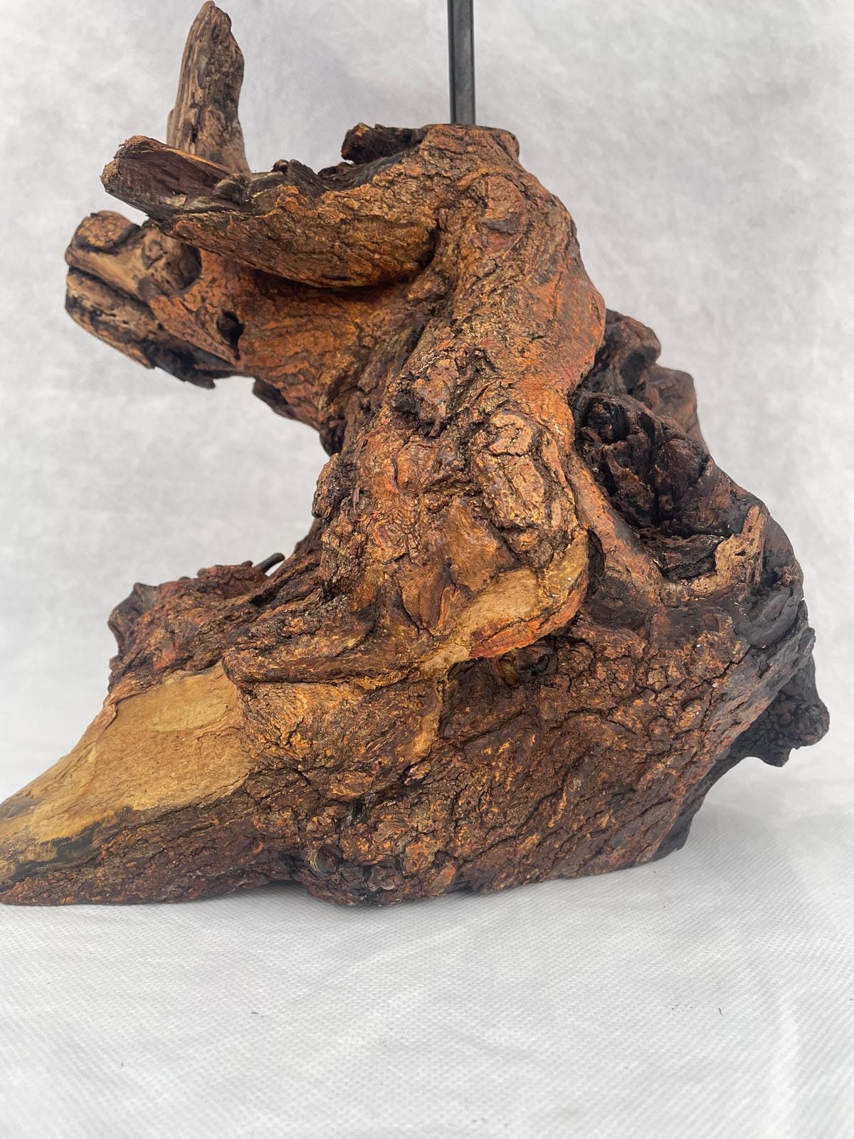 The Timber Lite Drfitwood Lamp